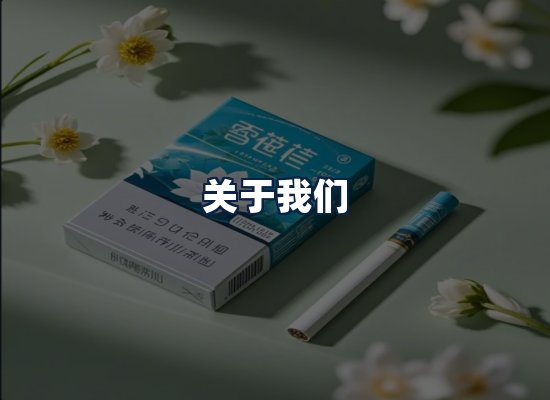 关于我们